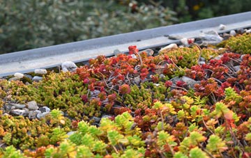 the cost of Idle Moor green roof installation