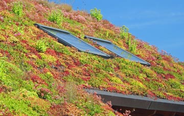 Idle Moor living roof systems